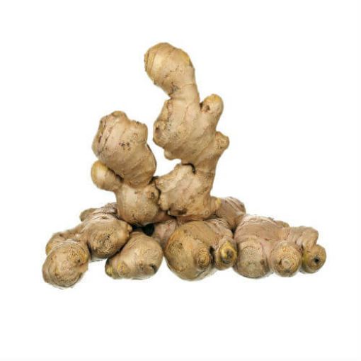 Picture of Eden Tree Ginger