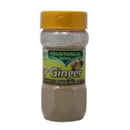 Picture of Fountain Life Ginger spice 100g