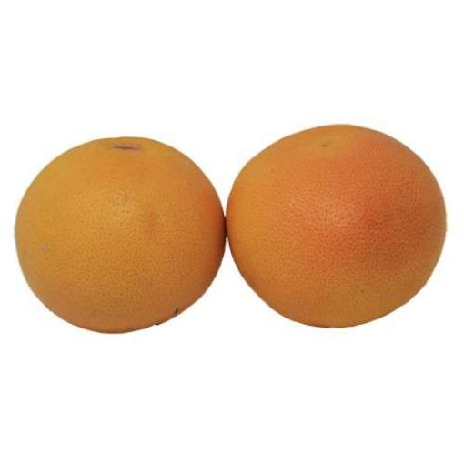 Picture of Global Grapefruit