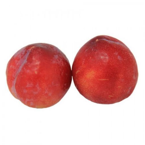 Picture of Global Plums Kg