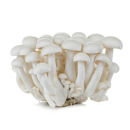 Picture of Ifro White Shimeji Mushroom 150g