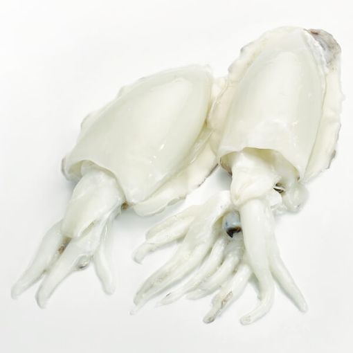 Picture of IQF Cuttle Fish 500g