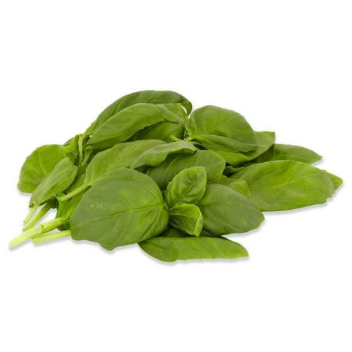Picture of Malom Basil Pack