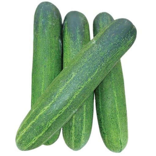Picture of MaxMart Cucumber