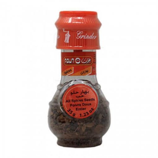 Picture of Aoun All Spices Seeds Bottle 35g