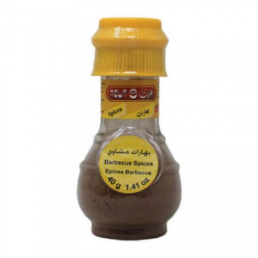 Picture of Aoun Barbecue Spices Bottle 40g