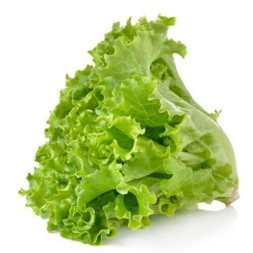 Picture of MaxMart Lettuce