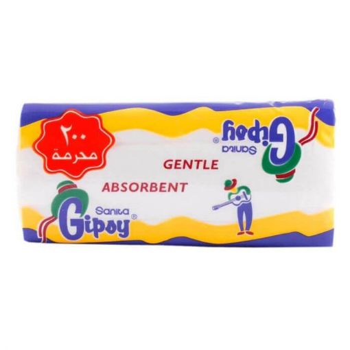 Picture of Sanita Gipsy Tissues 120-Sheets