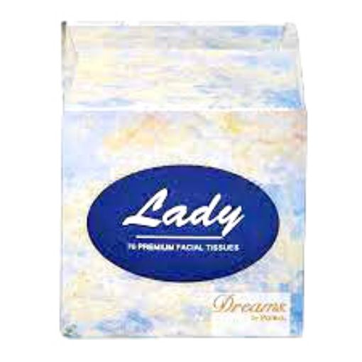Picture of Sanita Lady Facial Tissue 76s