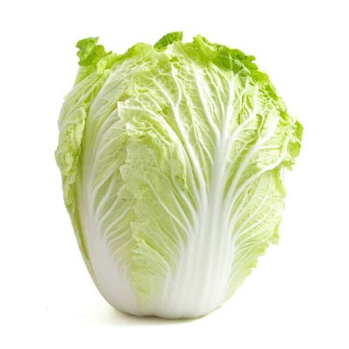 Picture of W.I.L Chinese Cabbage Kg