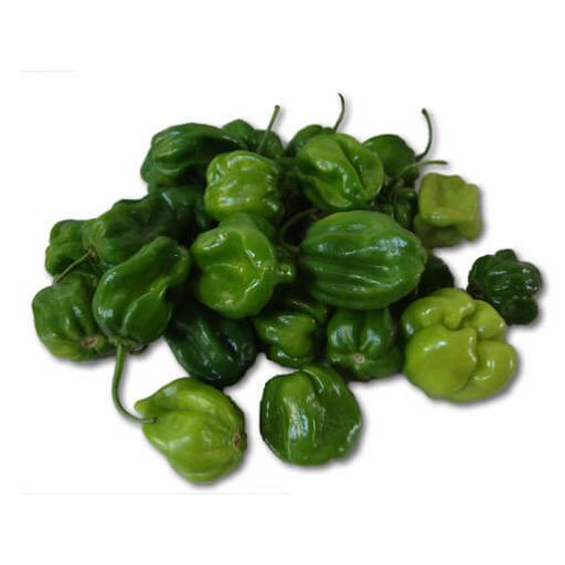 Picture of MaxMart Fresh Pepper pack