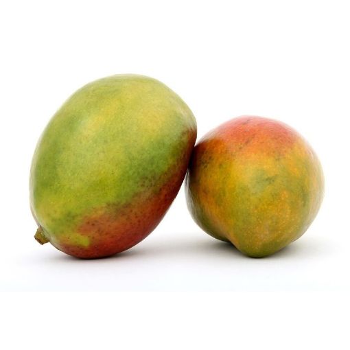 Picture of Eden Tree Mangoes