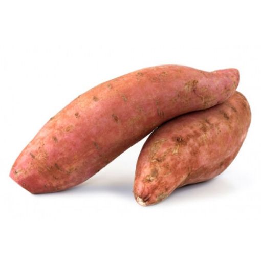 Picture of Eden Tree Sweet Potato