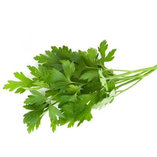 Picture of Happy Mint / Parsley Leaves