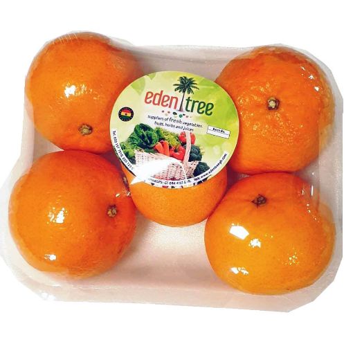 Picture of Eden Tree Tangerine Imported