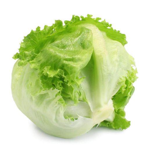 Picture of Global Iceburg Lettuce Pcs