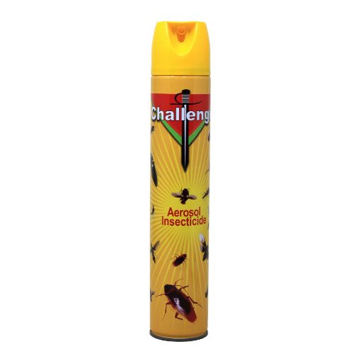 Picture of Challenge Aerosol Insecticide 400ml