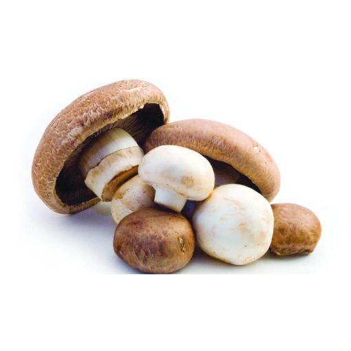 Picture of Joneth Mushroom