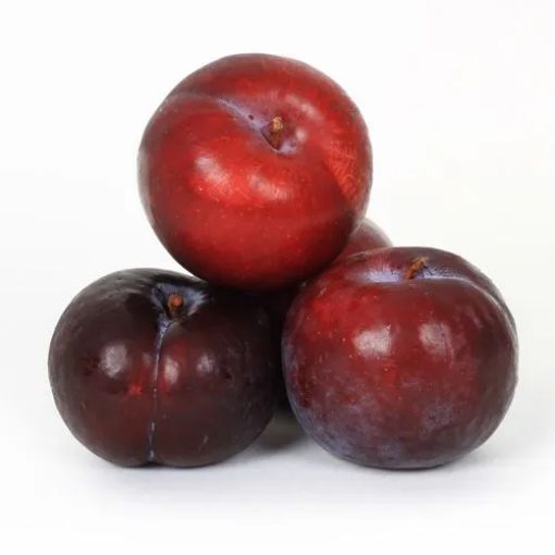 Picture of All Fruits & Vegetables Plum