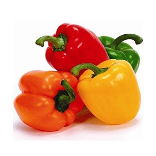 Picture of All Fruits & Veg.Sweet Pepper (Tricolor) 500g