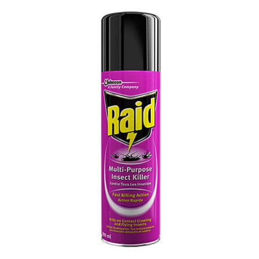 Picture of Raid Multipurpose Insect Killer 300g