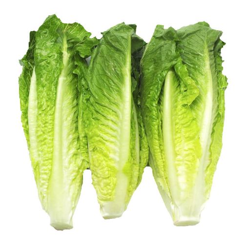 Picture of All Fruits & Veg.Lettuce Romain Pack