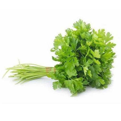 Picture of Max Mart Coriander Kg