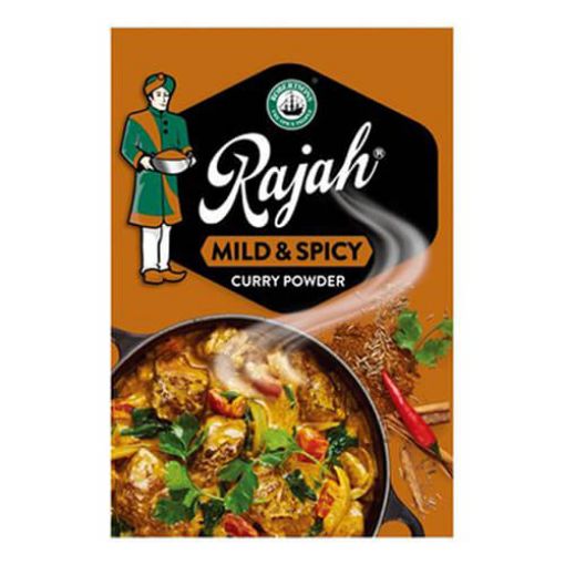 Picture of Robertsons Rajah Curry Hot 50g