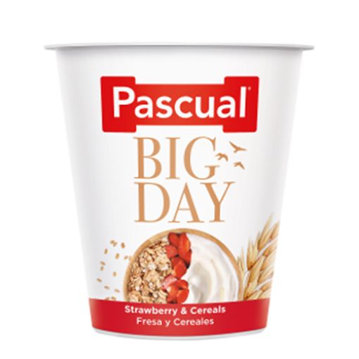 Picture of Pascual Big Day Yogurt Forest Straw.&Cereals 500g