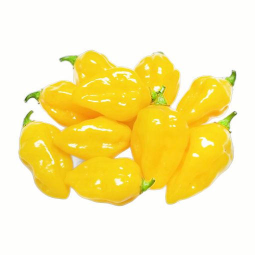 Picture of Trad.Yellow Pepper Kg