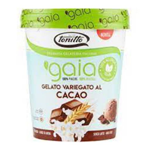 Picture of Tonit.Ice Cream Gaia Variegated Cocoa 500ml