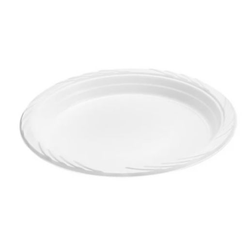 Picture of Shine Family Plastic Plate Large Size