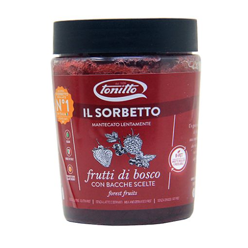 Picture of Tonit Ice Cream Forest Fruit Sorbet 500ml