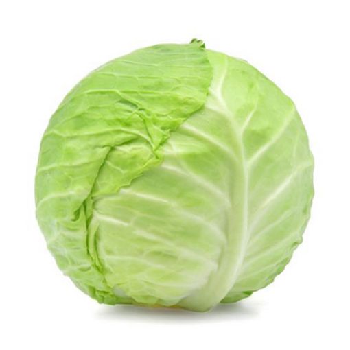 Picture of Eden Tree Cabbage 12