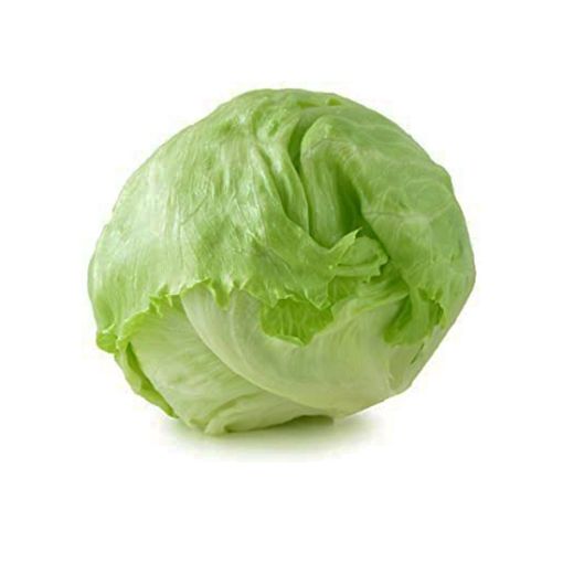 Picture of Traders iceberg Lettuce Pcs