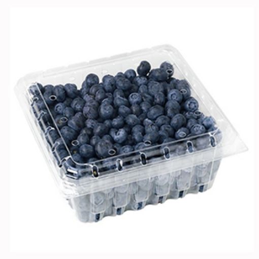 Picture of All Fruits Blueberries Pkt 125g