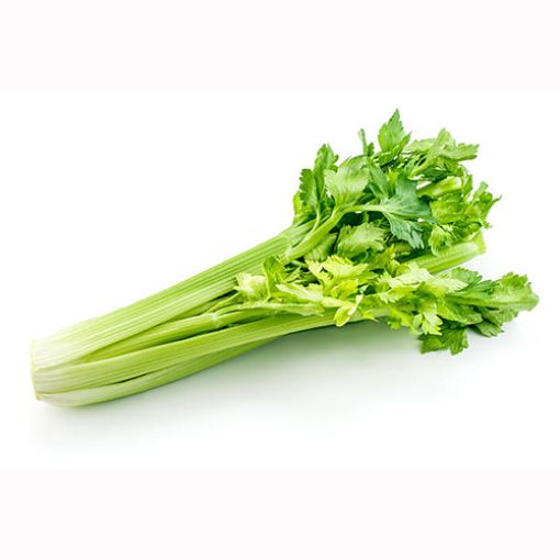 Picture of W.I.L Celery Pcs
