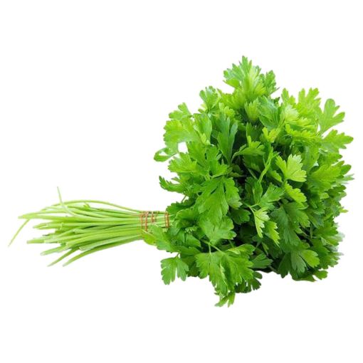 Picture of Greeny Corriander 150g