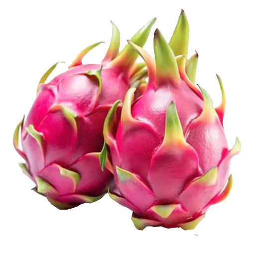 Picture of MaxMart Dragon Fruit