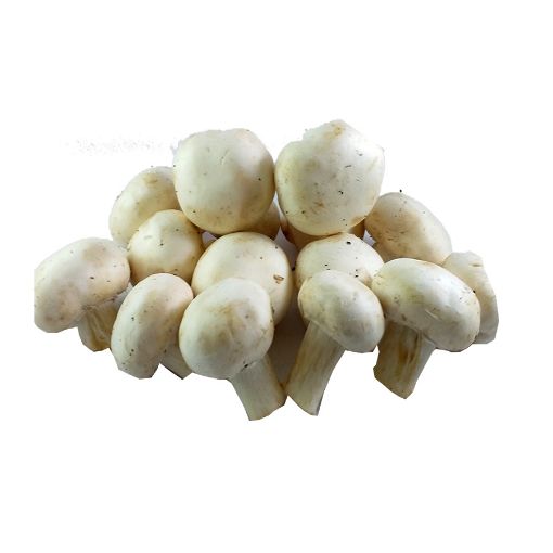 Picture of Akkari White Mushroom Kg