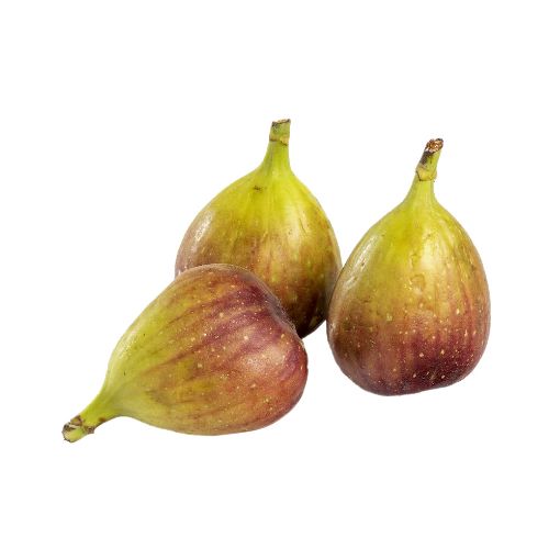 Picture of Akkari Fig Kg