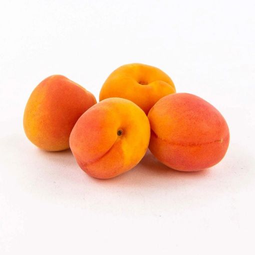 Picture of Akkari Apricot Kg