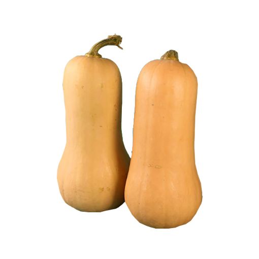 Picture of Akkari Squash Kg