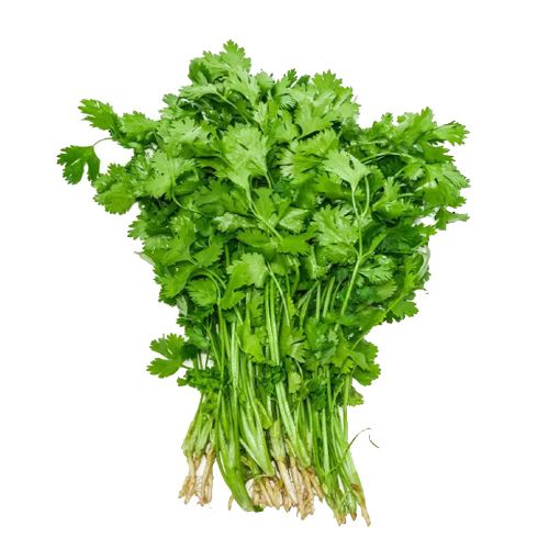 Picture of Jordan Fresh Coriander 70g