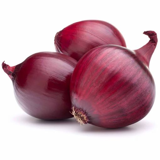 Picture of Fruit Master Onion Kg