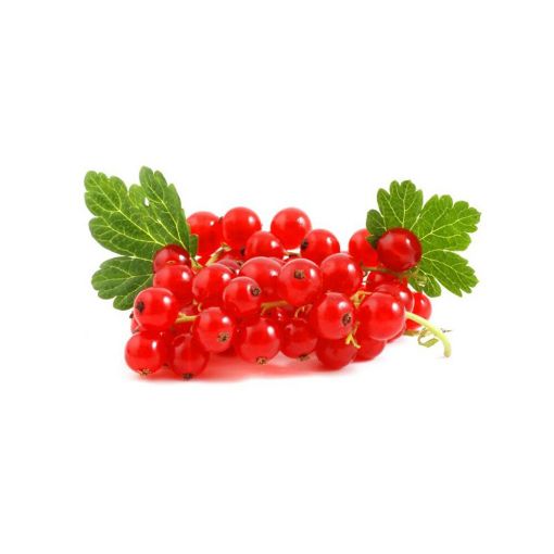 Picture of All Fruits&Veg Red Currants 125g