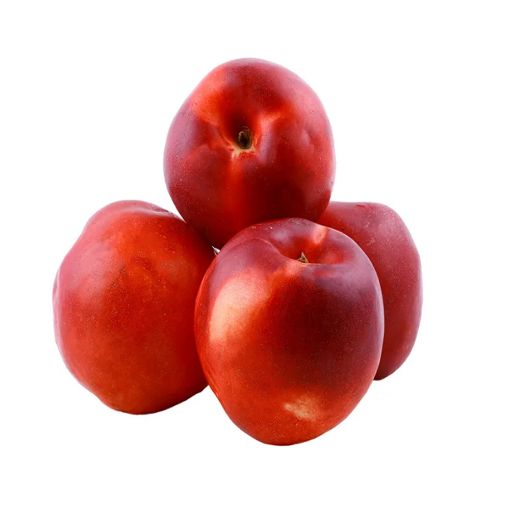 Picture of All Fruits & Veg. Nectarine Kg