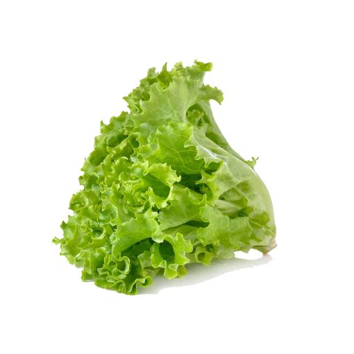 Picture of All Fruits & Veg. Roman Lettuce Pc