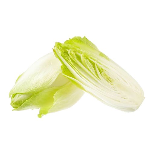 Picture of All Fruits Chicory Belgian Endive Foodtainer 500g