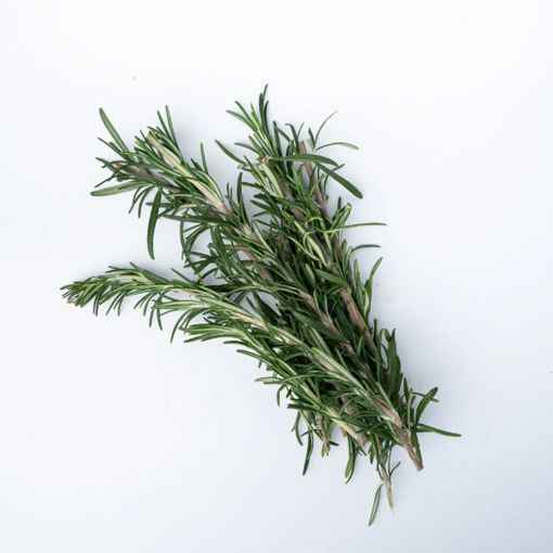 Picture of All Fruits & Veg. Rosemary 20g